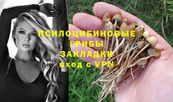 молекула духа Баксан