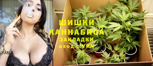 крисы Балахна