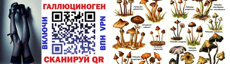 Галлюциногенные грибы GOLDEN TEACHER  купить наркоту  Белёв 